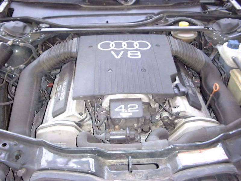 v8
