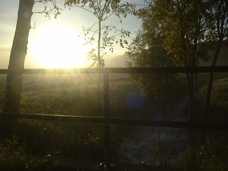 herbst