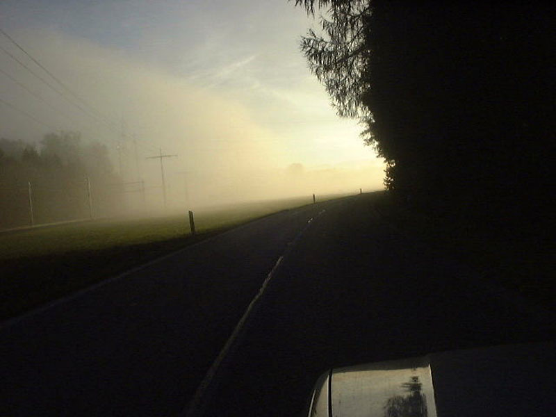 herbst