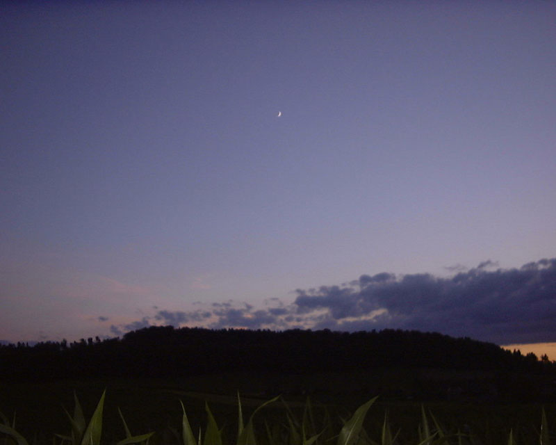 stern,hügel,feld,sun