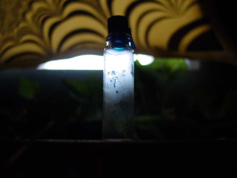 DSC06398