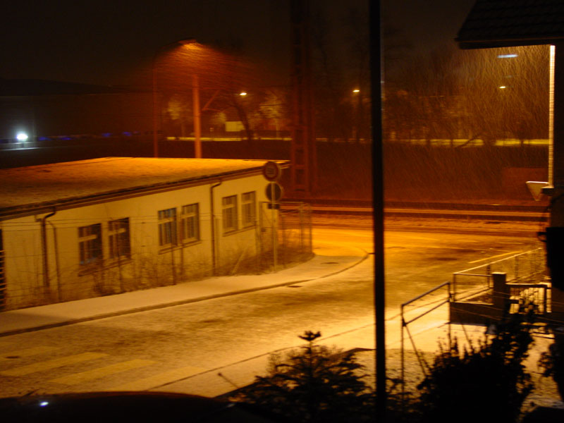 DSC00351