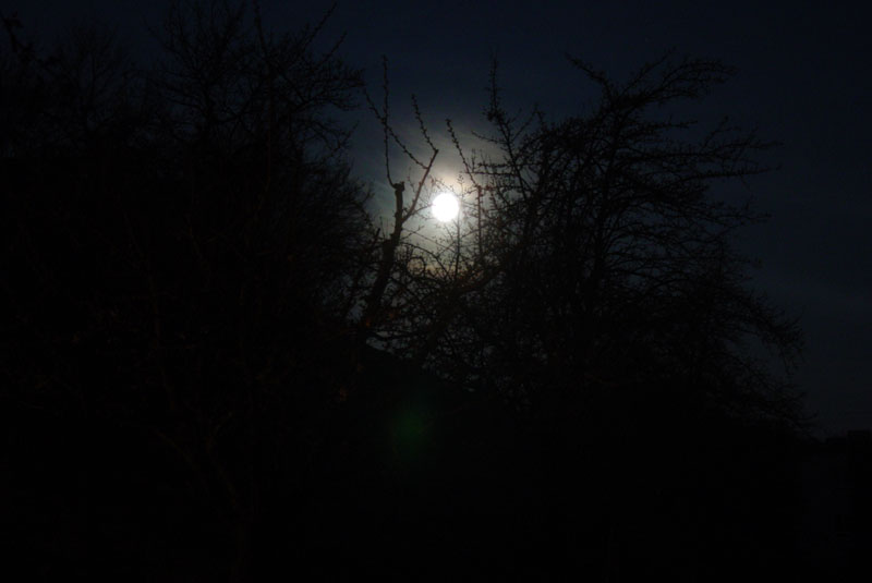 DSC00697