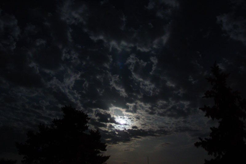 DSC01134