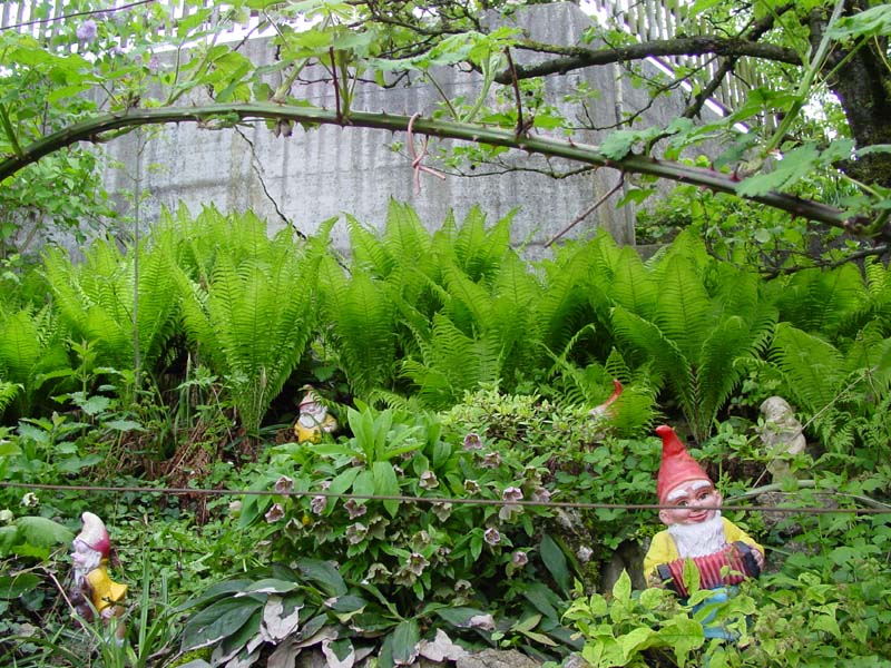 DSC06175