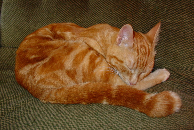 DSC00905