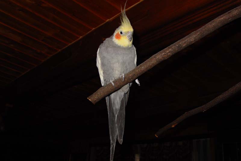 DSC01951