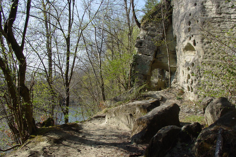 DSC00717