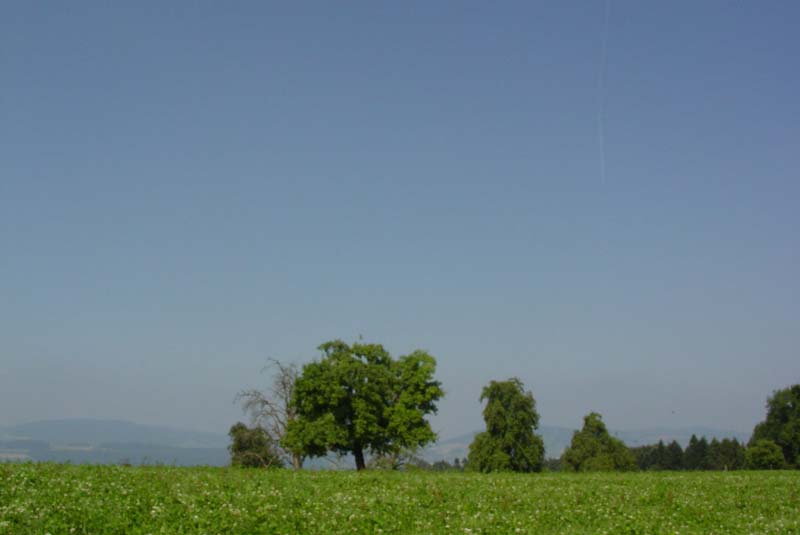 DSC01735