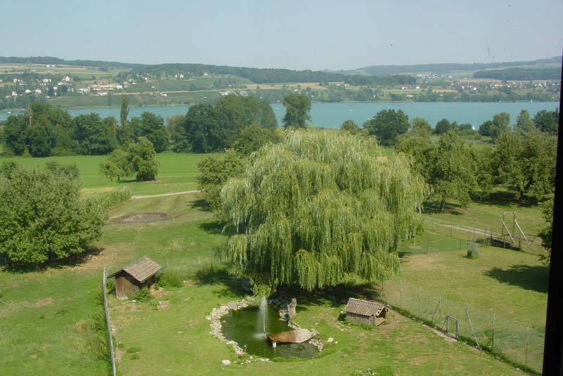 DSC01737