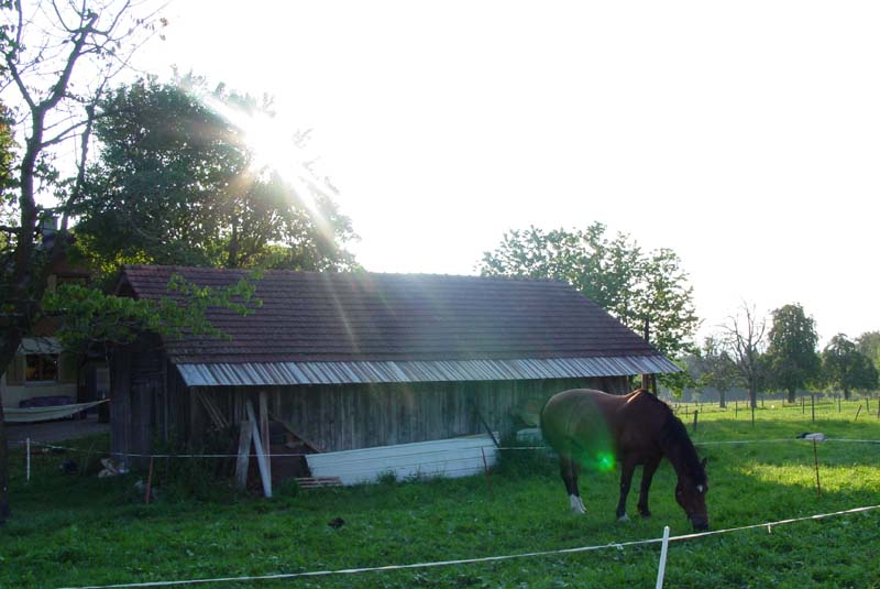 DSC01740