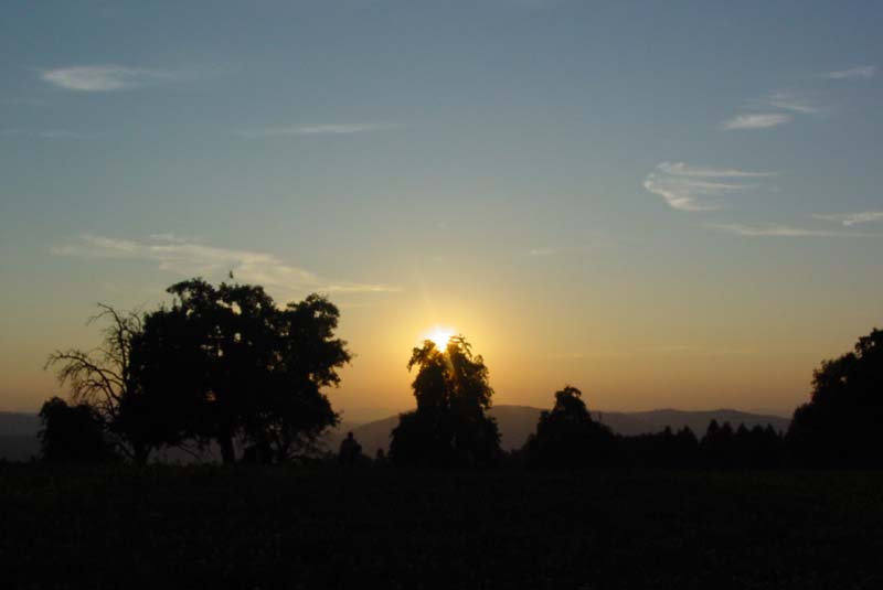 DSC01744