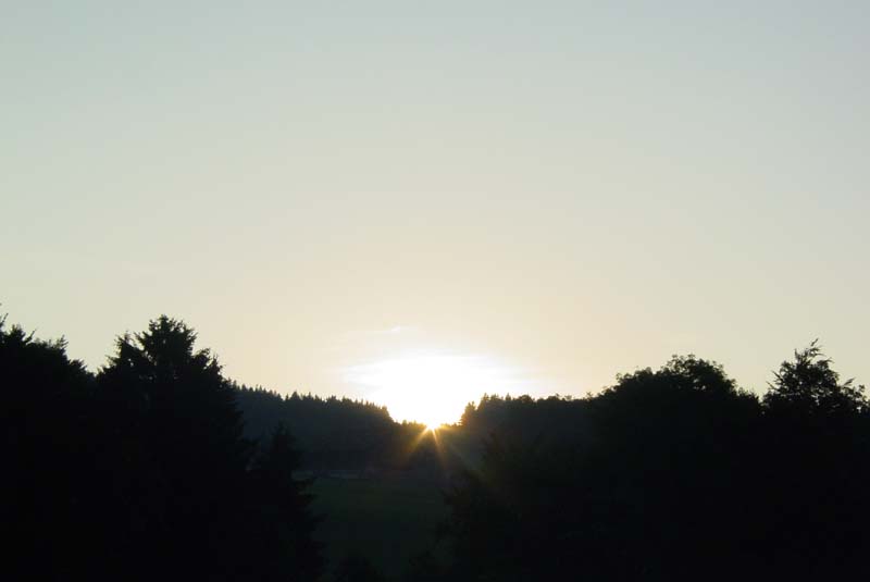 DSC01756