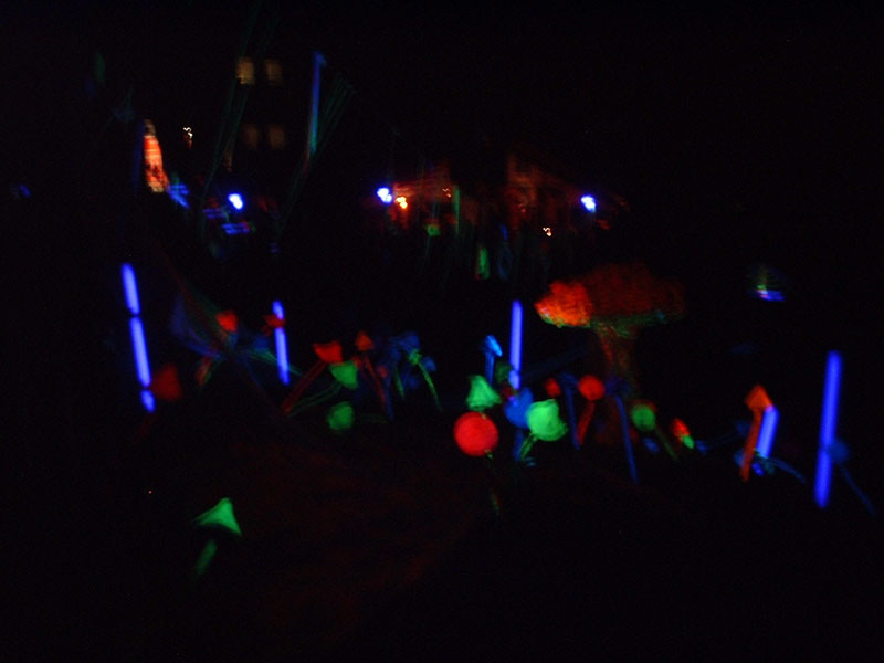 DSCF0019