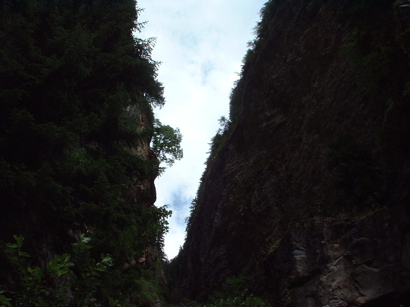 DSCF0077