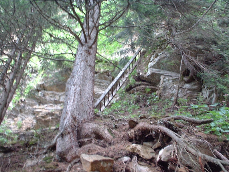 DSCF0082