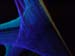 DSCF0004