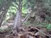 DSCF0082