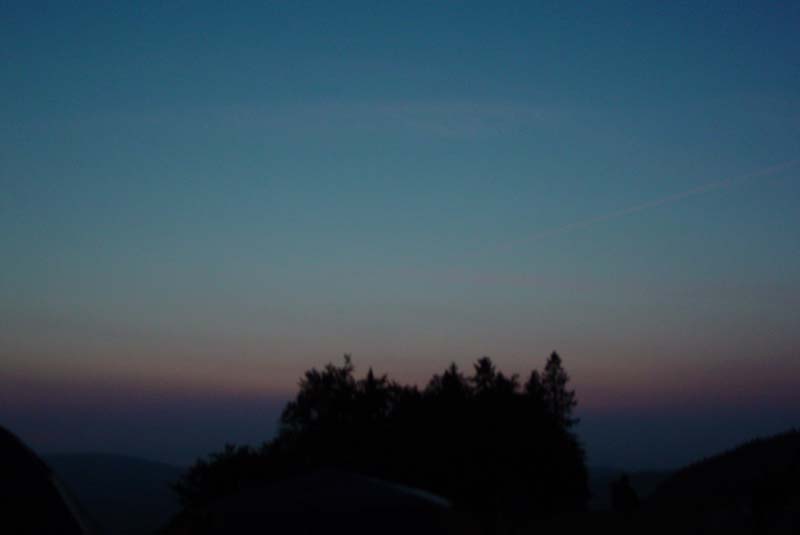 DSC01411