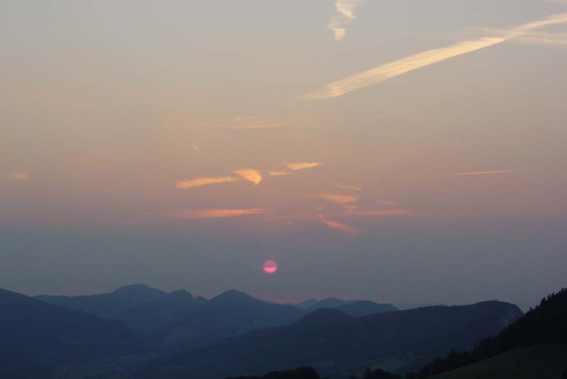 DSC01413