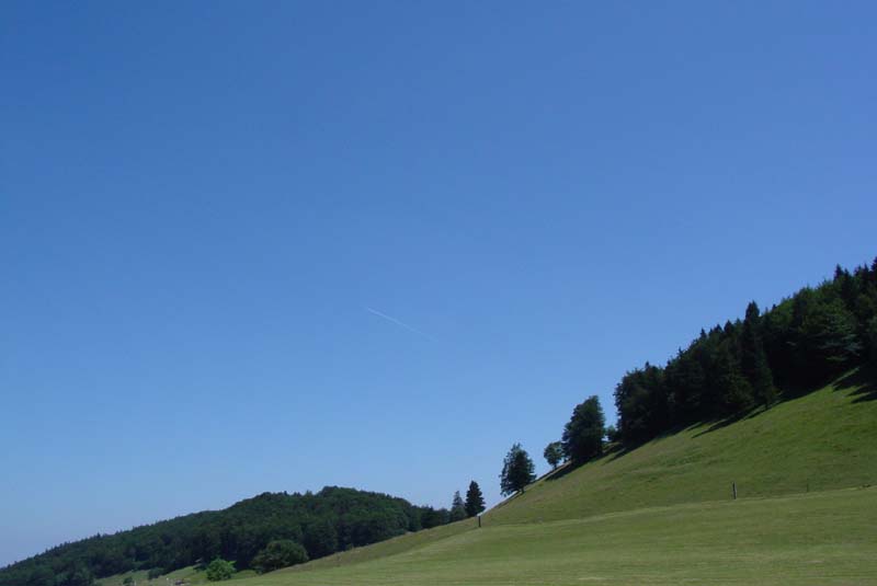 DSC01423