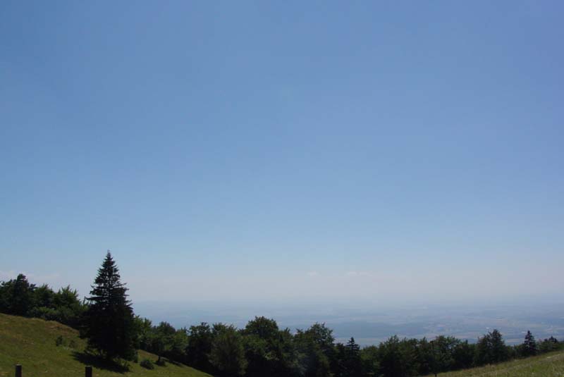 DSC01431