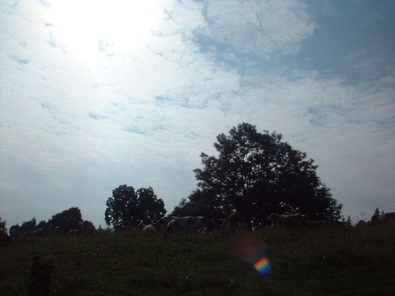 DSCF0043