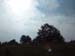DSCF0043