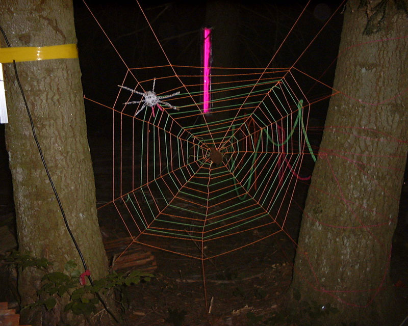 spiderweb
