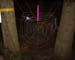 spiderweb