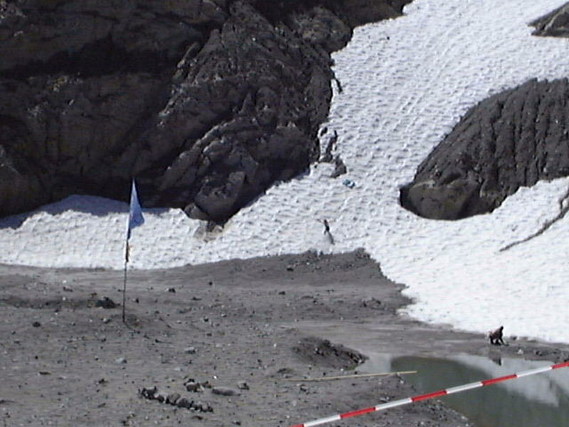 snowsurfer