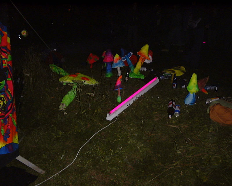 neonshrooms