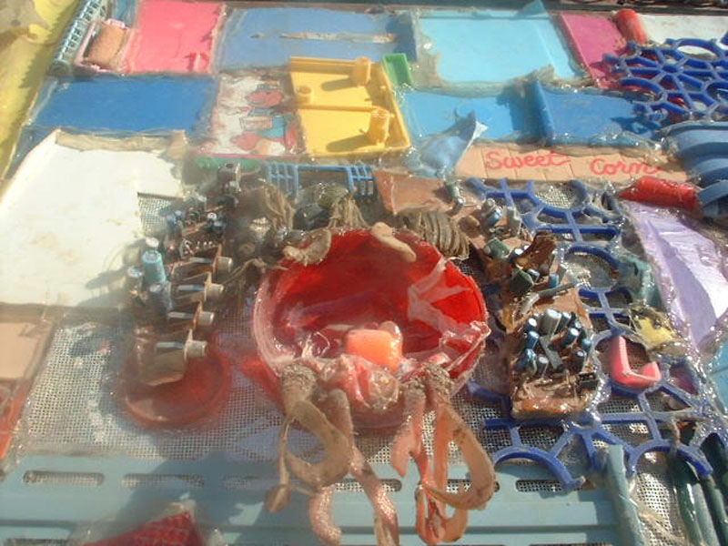 DSCF0111