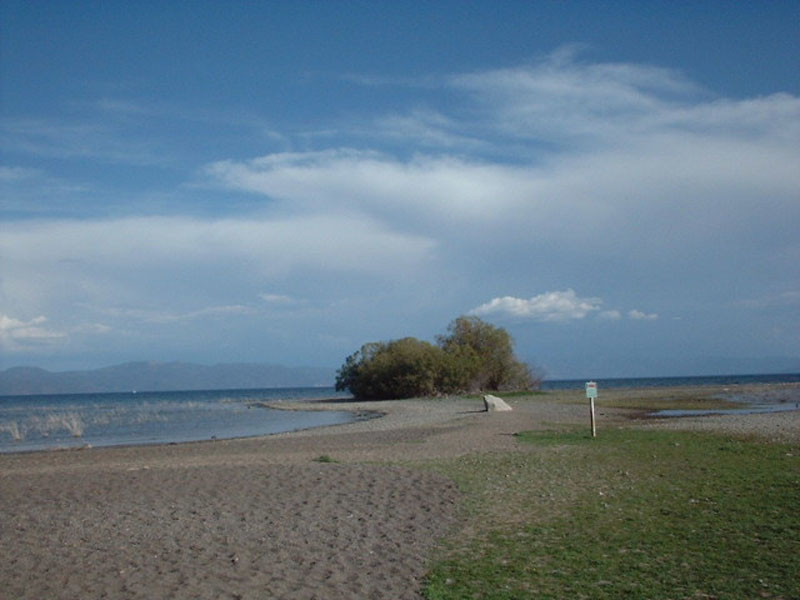 DSCF0500