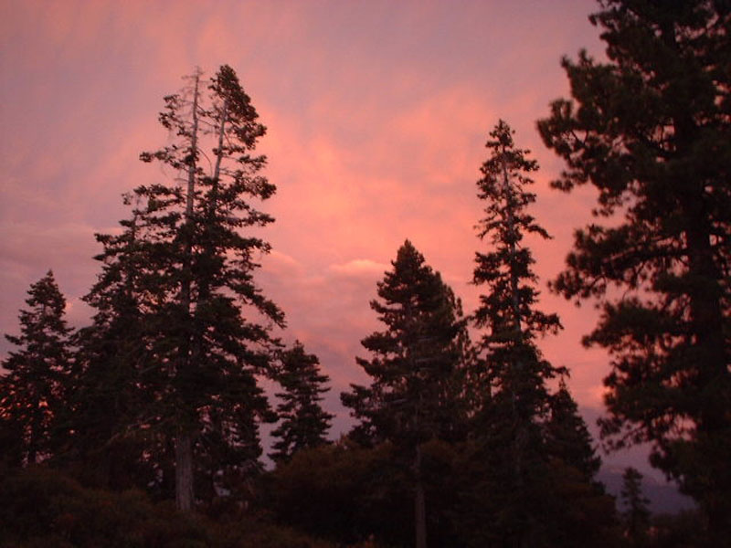 DSCF0518