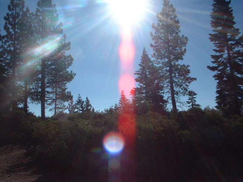 DSCF0520