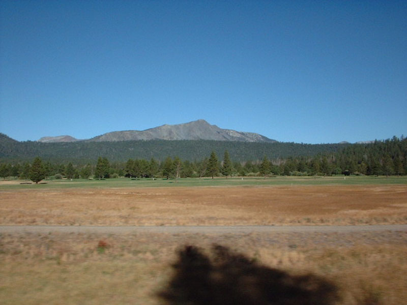 DSCF0523