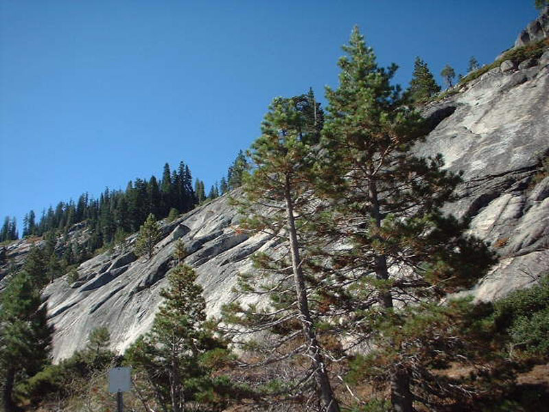 DSCF0525
