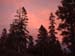 DSCF0518