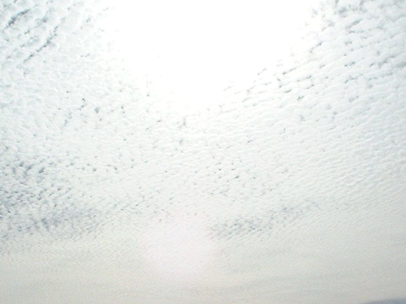 DSCF0043