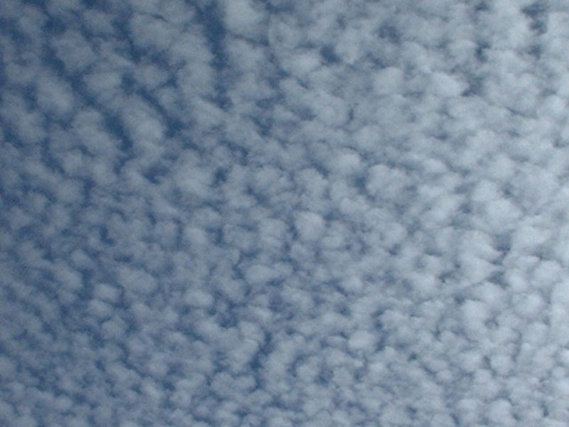 DSCF0044