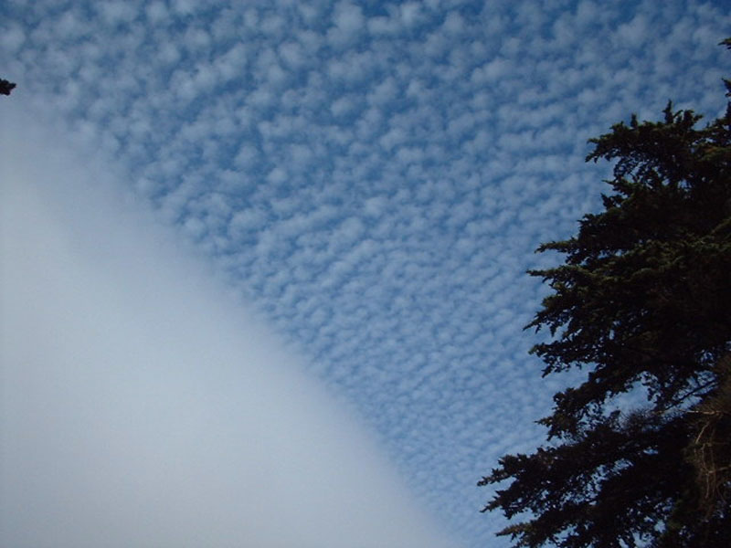DSCF0047