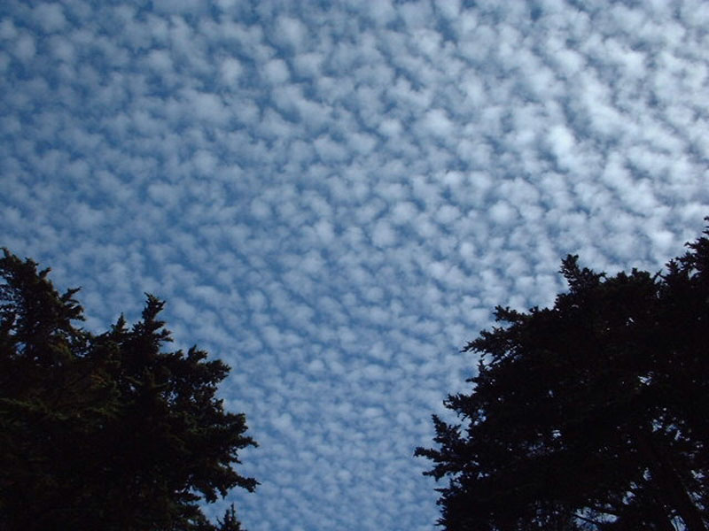 DSCF0048