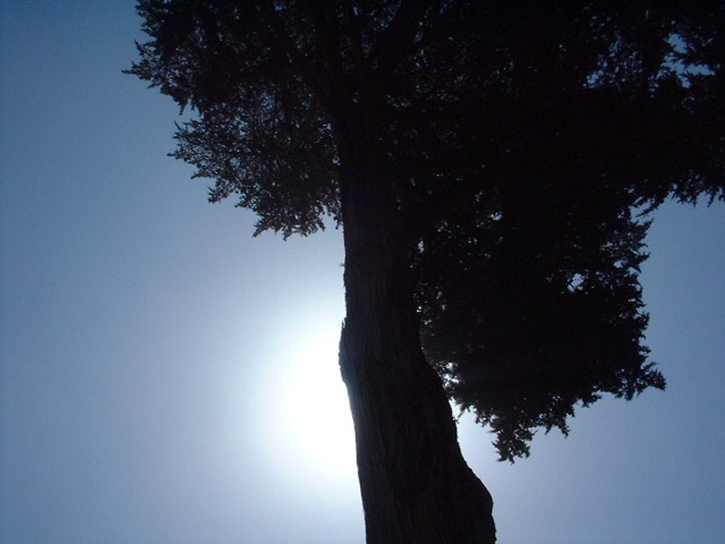 DSCF0560