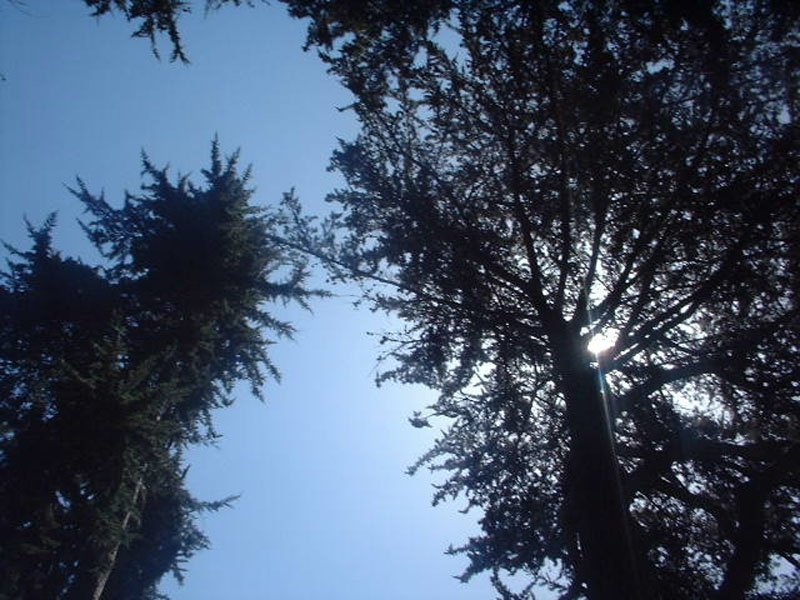 DSCF0565