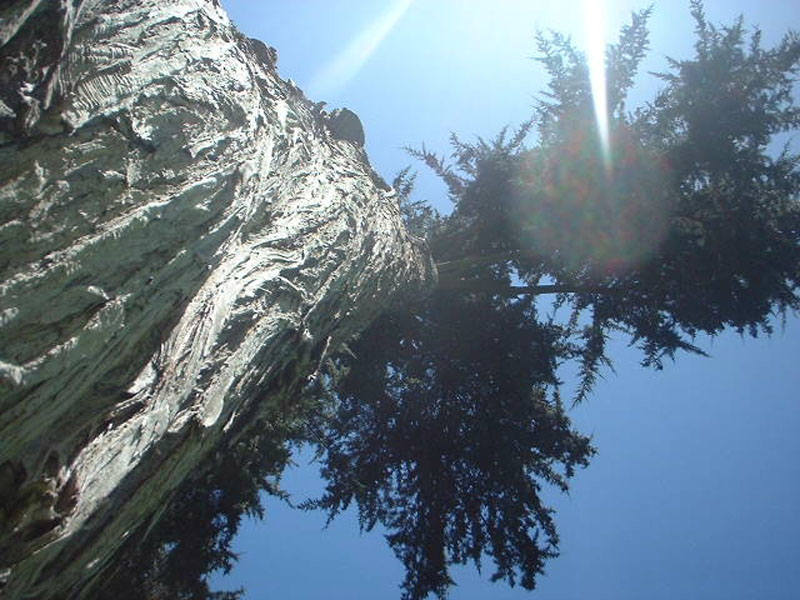 DSCF0567
