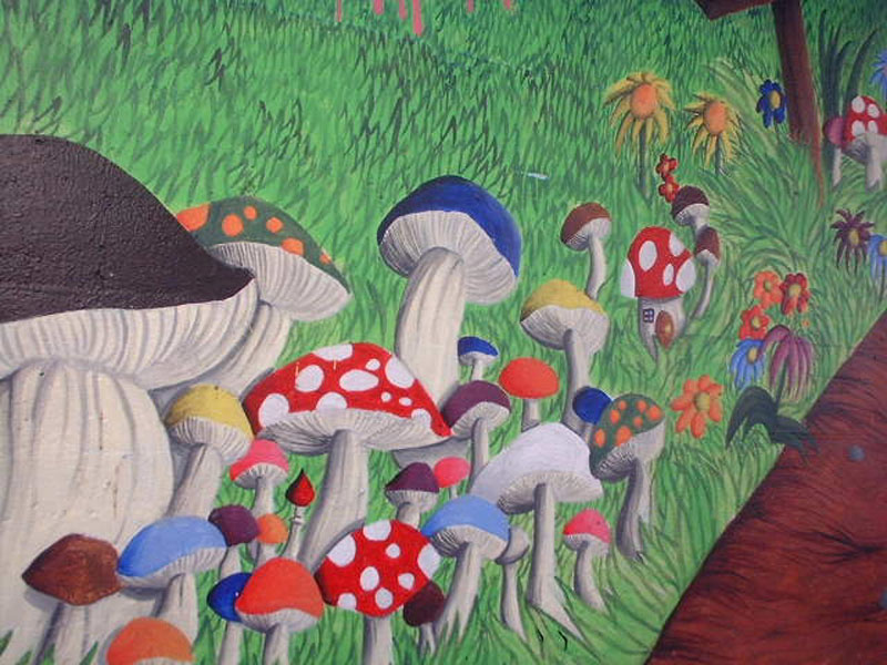 DSCF0571