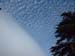 DSCF0047