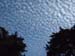 DSCF0048