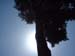 DSCF0560